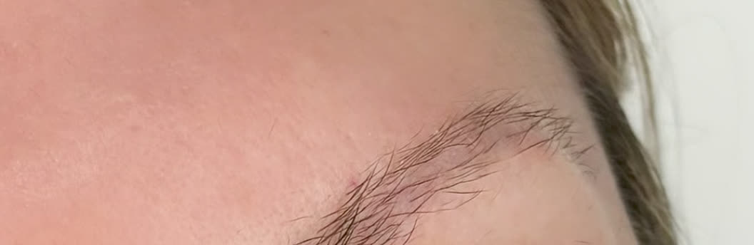 A brow before the appointment, pale and sparse, the hairs visible only close up.