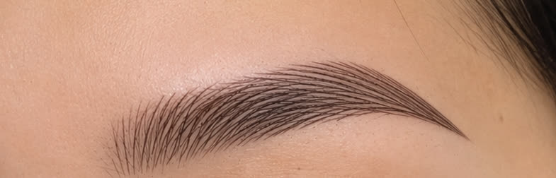 The same brow after the appointment, built from individual strokes that follow the direction of the natural hair, denser through the body and tapering at the tail.