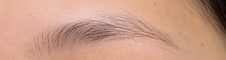 A brow before any work: fine natural hairs, sparse through the middle, with a gap above the arch.
