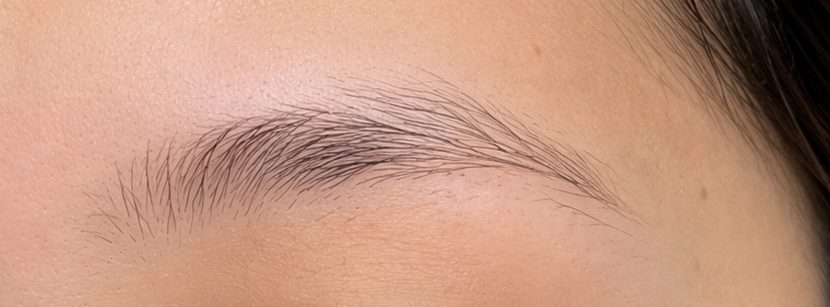 A brow before any work: fine natural hairs, sparse through the middle, with a gap above the arch.