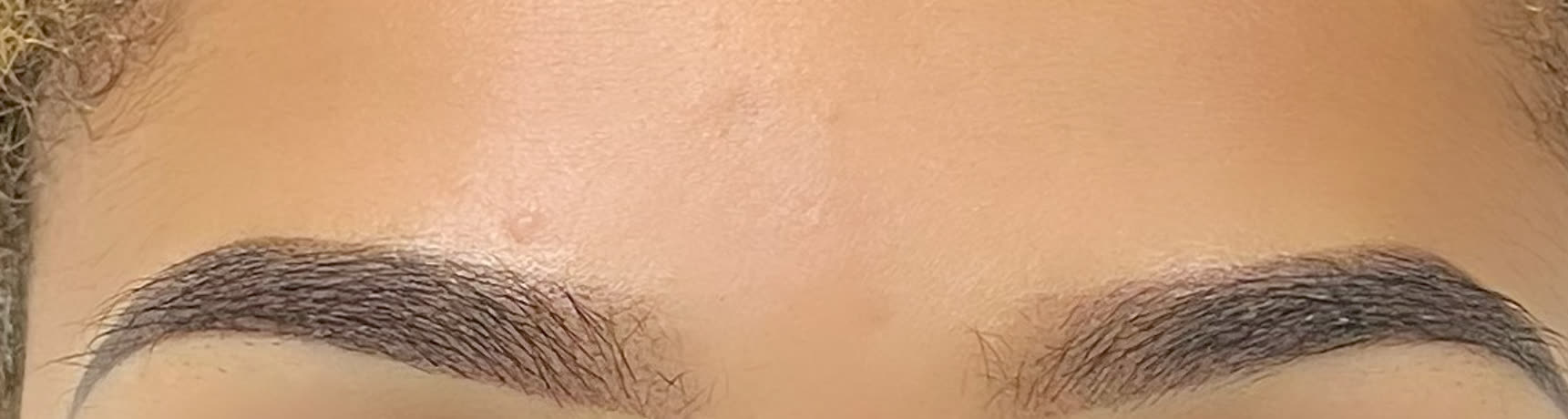 Both brows of one face photographed together after the appointment, showing how closely the two shapes match.
