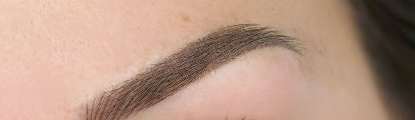 A finished brow photographed close up, the body soft and the tail narrowing to a fine point.